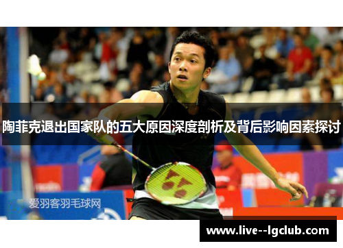 陶菲克退出国家队的五大原因深度剖析及背后影响因素探讨