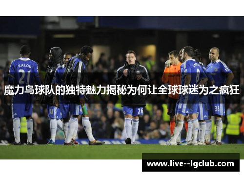 魔力鸟球队的独特魅力揭秘为何让全球球迷为之疯狂 魔力鸟球队的独特魅力揭秘为何让全球球迷为之疯狂