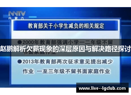 赵鹏解析欠薪现象的深层原因与解决路径探讨