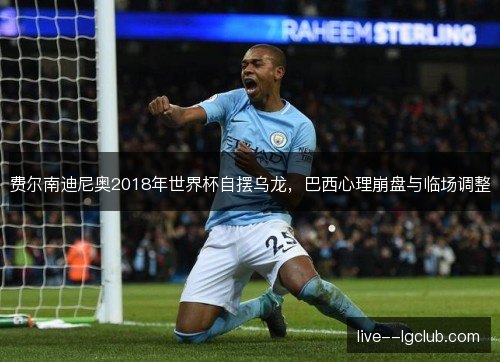 费尔南迪尼奥2018年世界杯自摆乌龙,巴西心理崩盘与临场调整 费尔南迪尼奥2018年世界杯自摆乌龙,巴西心理崩盘与临场调整